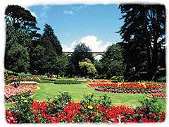 Gardens in Newquay
